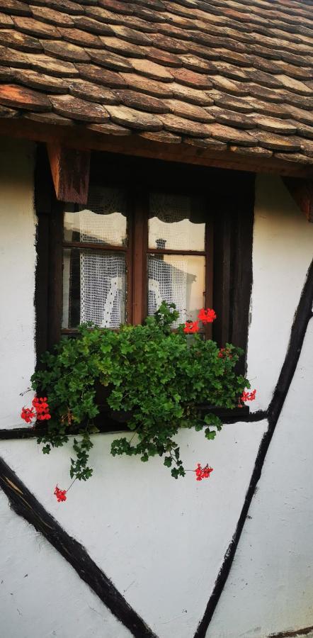 Etno Domacinstvo Miris Bosiljka Apartment Mislodin Luaran gambar